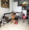 ✨🏡✨ Cần bán Nhà Phố Hẻm xe hơi , đường Mai Hoa Thôn, P.02, Đà Lạt