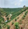 Cần bán 2,6ha cf thôn 7 Lộc Tân giờ là p2 Bảo Lộc