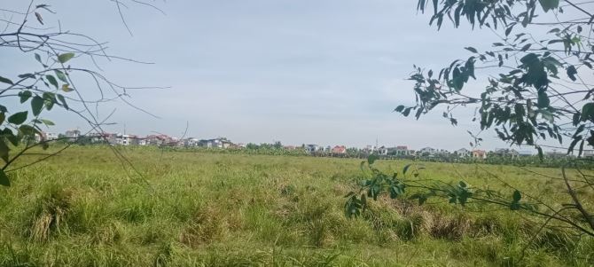 Cần bán đất sx tại Tứ Kỳ, Hải Dương (cũ) TP Hải Phòng
