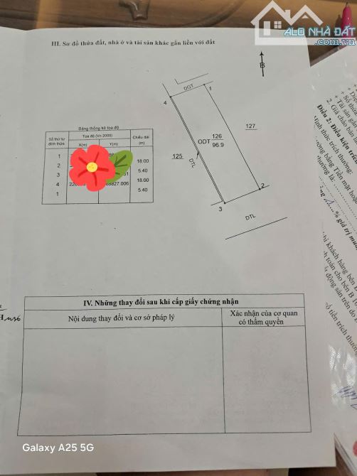 Cc bán gấp 97m2 đất ngõ Trần Lãm,Quy hoạch mặt sau là đường Dân Sinh 5m giá chỉ 2 tỷ đồng