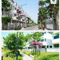 CCDV - NHÀ LIỀN KẾ LAVIDA VŨNG TÀU- SỔ HỒNG SẴN SÀNG
