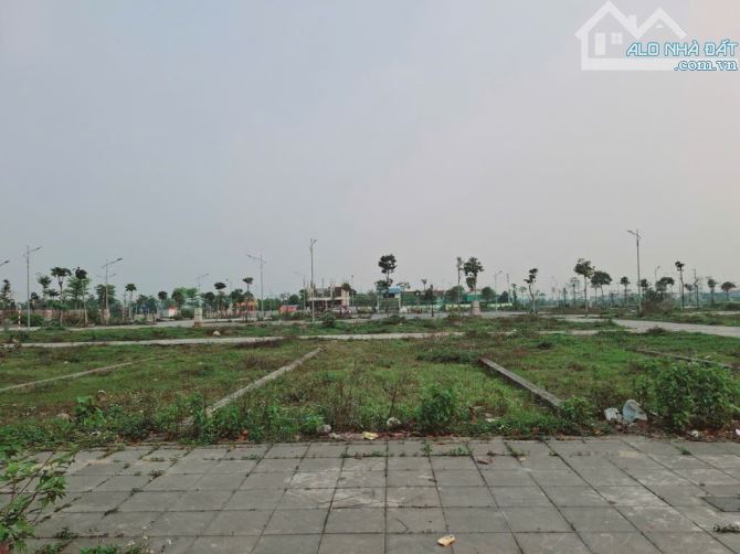 Đất đấu giá Thụy Lâm, Đông Anh, 87.5 m2 vỉa hè kinh doanh ô tô tránh ngày đêm, sát ngay Vi