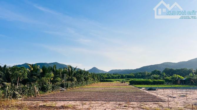 THỊ TRẤN PHƯỚC HẢI - VIEW NÚI MINH ĐẠM 🌈🌈🌈DT  4873m2 - Ngang 38m x 126m