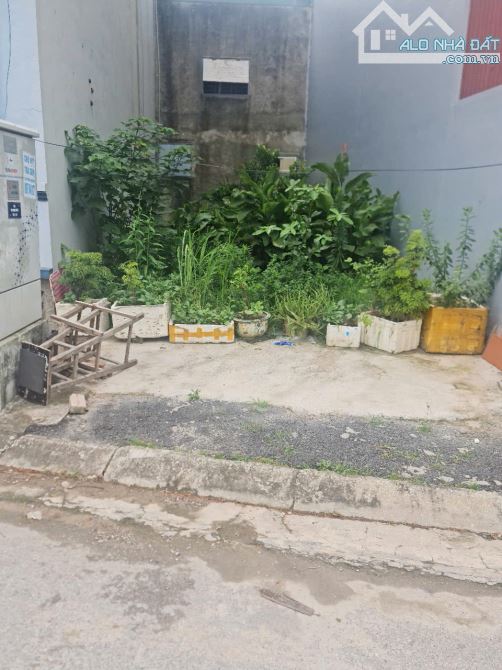🔥 BÁN ĐẤT ĐẸP TĐC TỨ HIỆP – THANH TRÌ – GIÁ HỢP LÝ 🔥 - 1