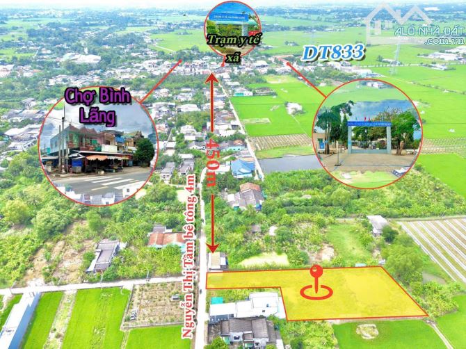 1700m2 có 173m2 thổ đường Nguyễn Thị Tầm ngay chợ Bình Lãng _tân trụ 1,5 tỷ giá rẻ ngộp - 1