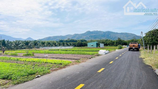 THỊ TRẤN PHƯỚC HẢI- View núi Minh Đạm siêu đẹp ; đi biển chỉ 10phút 🌈DT 2000M2 - 1