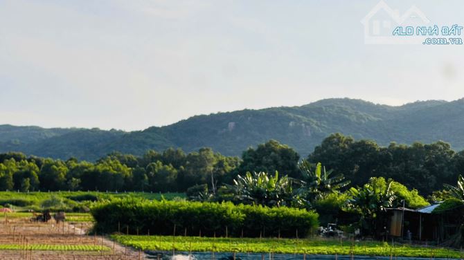 THỊ TRẤN PHƯỚC HẢI - VIEW NÚI MINH ĐẠM 🌈🌈🌈DT  4873m2 - Ngang 38m x 126m - 1