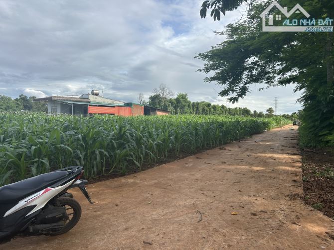 🅿️❇️CHỦ GỬI BÁN LÔ ĐẤT TIỀM NĂNG, THÔN 3, CƯ SUÊ HẺM CẤP 1, 🏦 439 TRIỆU, 5mx25m❇️ - 2