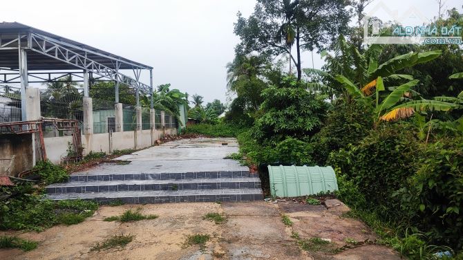 BÁN ĐẤT NHỊ BÌNH, HÓC MÔN, HẼM ÔTÔ, KDC HIỆN HỮU, DIỆN TÍCH KHỦNG 504M2 3TỶ - 2