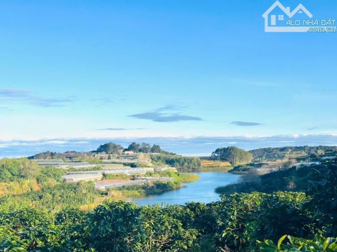 LÔ ĐẤT  GẦN ĐỒI CHÈ – ĐIỆN GIÓ CẦU ĐẤT 🏡 🌿 - 2