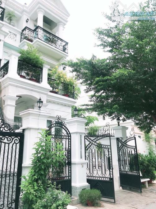 Bán nhà khu biệt Thự Hồng Long P.2 Tân Bình DT 5x20m, trệt 3 lầu sân thượng HDT 20tr/th - 2