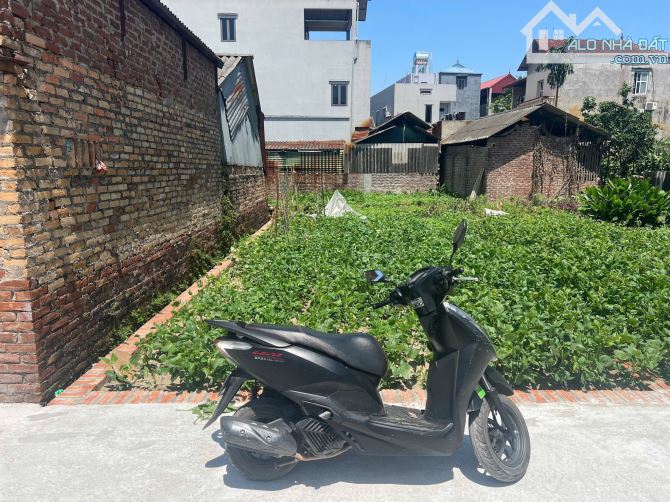 BÁN LÔ ĐẤT SIÊU ĐẸP, VUÔNG VẮN, GIÁ CỰC HỜI TẠI MẠNH TÂN-THỤY LÂM ( THƯ LÂM MỚI): 54M2 GIÁ - 2