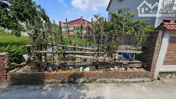 ĐẤT ĐẸP MAI ĐÌNH TIẾP GIÁP KĐT VỆ TINH - KCN NỘI BÀI, CN2,3 - ĐƯỜNG THÔNG OTO VÀO ĐẤT - 2