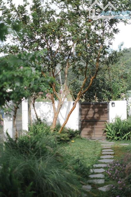 Lô đất chân đèo Pren- Hiệp An- Đức Trọng- 2000m giá 20 tỷ( bán lẻ 350m giá 3 tỷ 5) - 3