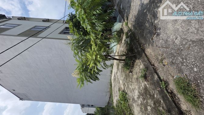 B.Á.N ĐẤT  ĐAN PHƯỢNG  , PHÂN LÔ,  Ô TÔ TRÁNH , SÁT VƯỜN HOA, CÂY CỐI MÁT MẺ 63M2, 7 TỶ 9 - 3