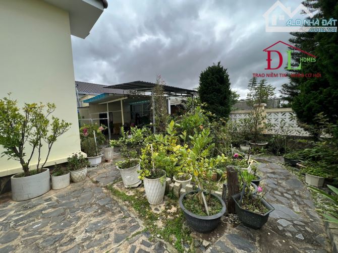 Bán biệt thự Ngô Tất Tố Phường 8 Đà Lạt ( 318m2 đất ở đô thị chỉ 17 tỷ thương lượng ) - 3