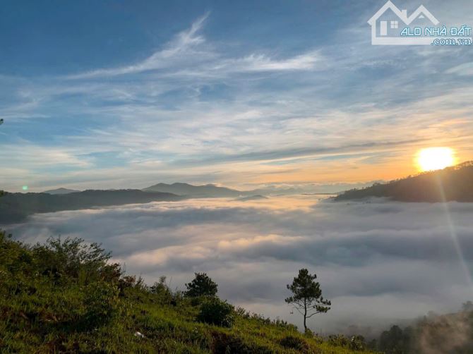LÔ ĐẤT  GẦN ĐỒI CHÈ – ĐIỆN GIÓ CẦU ĐẤT 🏡 🌿 - 4