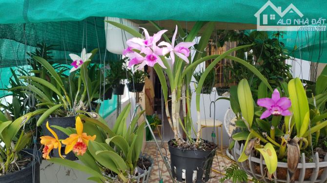 BÁN NHÀ 4 TẦNG HẺM XE HƠI TRẦN HƯNG ĐẠO, P. CẦU ÔNG LÃNH, TP.HCM  GIÁ CHỈ HƠN 11 TỶ - 5