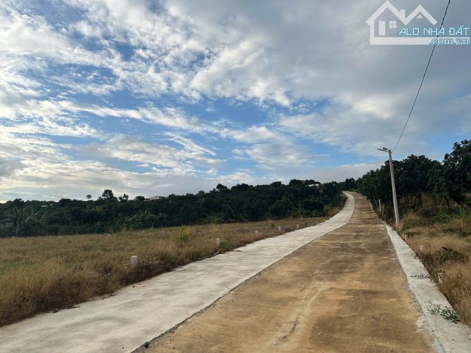 BÁN LÔ ĐẤT Ở – ĐÔNG THANH, LÂM HÀ – GIÁ SIÊU MỀM. CHỈ 680TR - 5