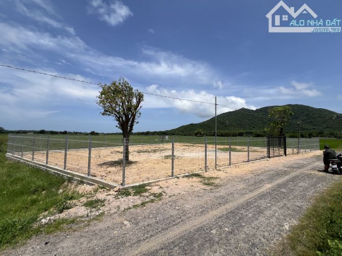 CẦN BÁN 1 LÔ ĐẤT VIEW LÚC VÀ NÚI THOÁNG ĐẢNG, YÊN BÌNH TẠI XÃ PHƯỚC HẢI , TP.HCM - 5