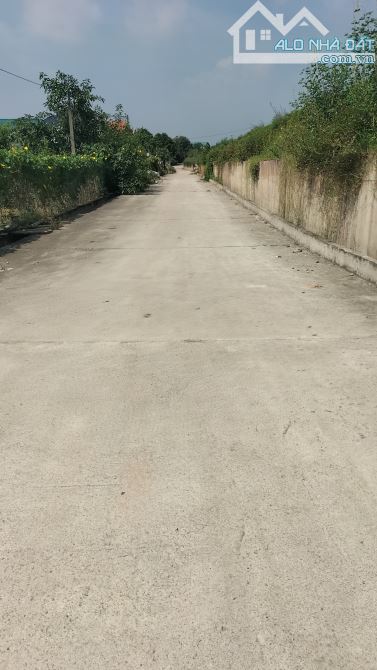 Chỉ_5,2 tỷ, 150m2 - Full thổ cư - Ô Tô đỗ -ngõ thông Liên Nghĩa Văn Giang - 5