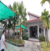 BIỆT THỰ VƯỜN MÁI THÁI MT ĐỖ ĐĂNG TUYỂN, CỦ CHI – NỘI THẤT GỖ – CHỈ 16.5 TỶ