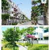 CCDV - NHÀ LIỀN KẾ LAVIDA VŨNG TÀU- SỔ HỒNG SẴN SÀNG