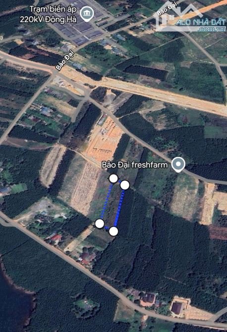 BÁN ĐẤT VƯỜN KIỆT BẢO ĐẠI - TRIỆU ÁI - 1