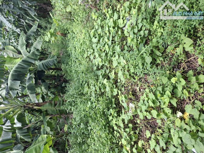 BÁN ĐẤT THỔ CƯ TẠI DƯƠNG QUANG -GIA LÂM -HÀ NỘI