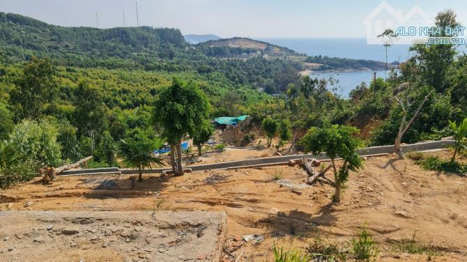 Bán lô mặt Quốc lộ 1D Xã Xuân Hải, Sông Cầu Phú Yên. 12.000m, giá 15 tỷ