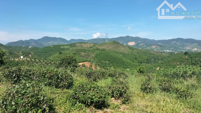 Cần bán 1,6s hẻm Phan Huy ích lộc châu