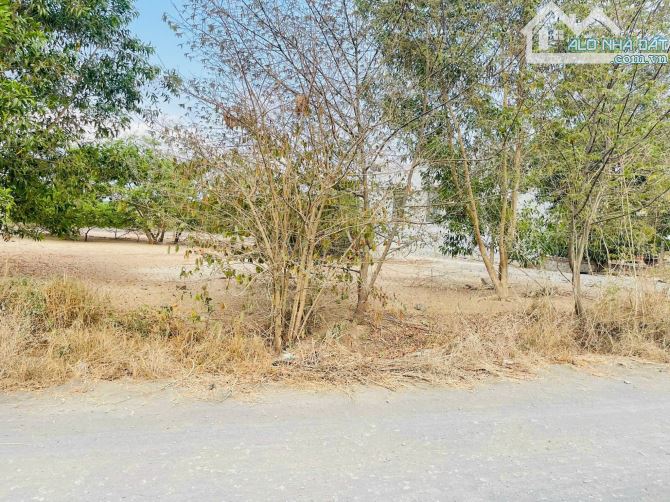 Phước Hội- Đất Đỏ BRVT  Lô đất 2 mặt tiền trước sau DT: 12x44 (489m2- có sẵn 200 thổ cư)