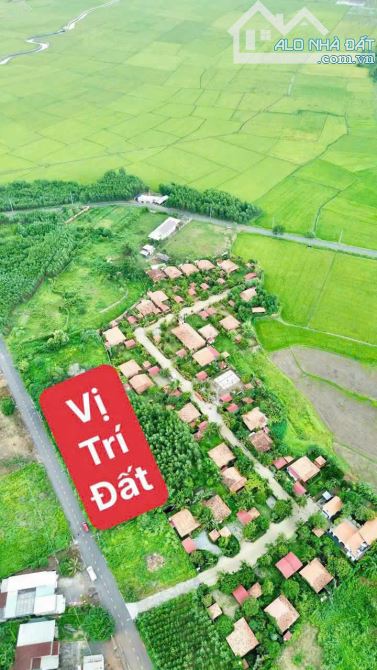 Bán đất F0 Đường nhựa tim vàng ngay QL55 sát bên khu nhà vườn xã Láng Dài , Long Đất - 1