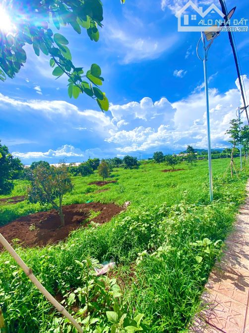 Bán Đất Mặt Tiền Đường Lớn 750m2 - Gần Nút Giao Cao Tốc & Sân Bay Đà Lạt - Giá Chỉ Hơn 3Ty - 1