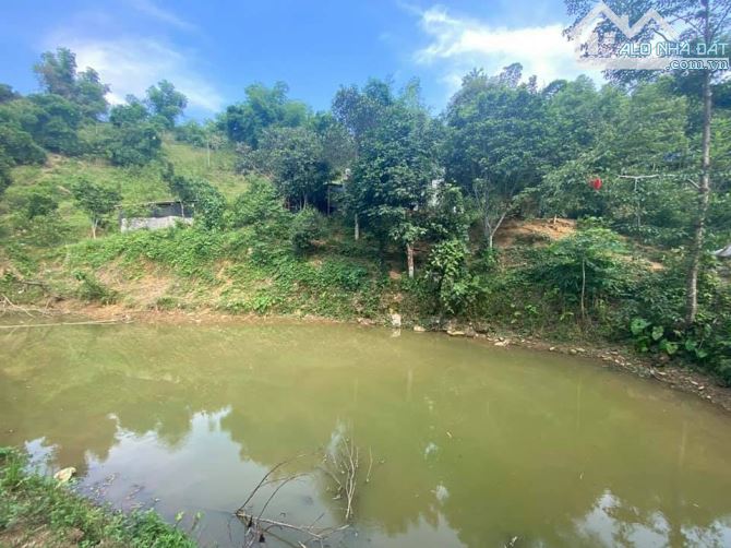 Gần 7000m2 đất nghỉ dưỡng view cao, có suối, có ao sát khu CN Quang Tiến, giá nhỉnh 2tr/m2 - 1