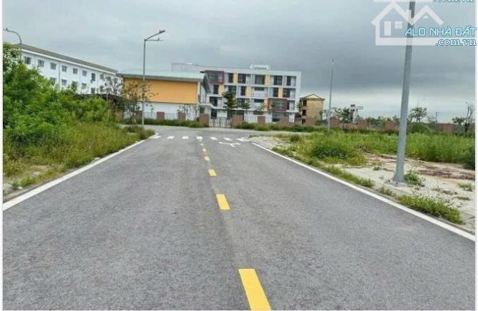 CHỦ TRÚNG ĐẤU GIÁ TẠI NAM VIỆT HÒA HẢI PHÒNG ( HẢI DƯƠNG) - 1