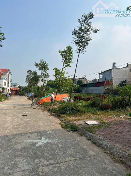 Cần Bán Lô Đất Sát Vin Group giẫm dân hữu chấp dt 75m2 mặt 5 - 1