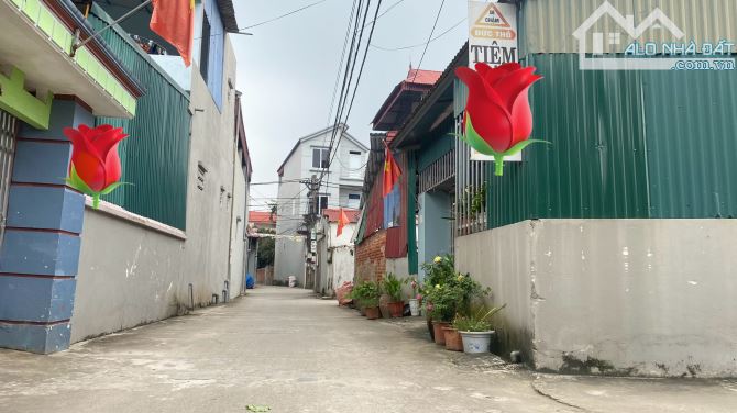 Bánh đất rất rất đẹp tại Xuân bách nội bài - 1