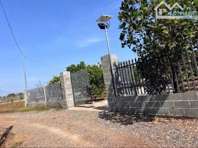 CHỦ ĐI NƯỚC NGOÀI NÊN CẦN SANG NHƯỢNG LẠI LÔ NHÀ VƯỜN VIEW HỒ SUỐI MÔN 1,2 TỶ - 1