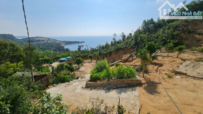 Bán lô mặt Quốc lộ 1D Xã Xuân Hải, Sông Cầu Phú Yên. 12.000m, giá 15 tỷ - 1