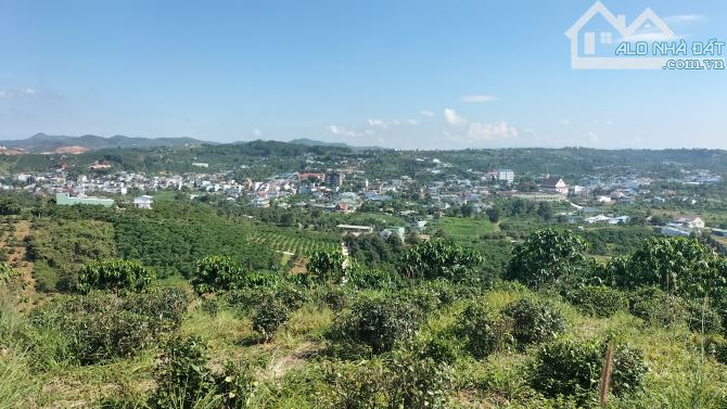 Cần bán 1,6s hẻm Phan Huy ích lộc châu - 1