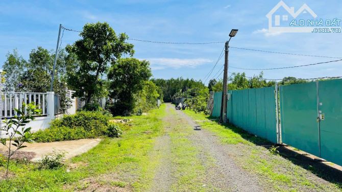 Phước Hội- Đất Đỏ BRVT  DT: 1019m2- Đã xây rào kiên cố  Mặt tiền đường rộng 6m cách đường - 1