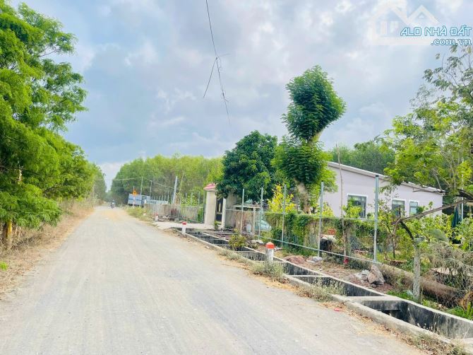 Phước Hội- Đất Đỏ BRVT  Lô đất 2 mặt tiền trước sau DT: 12x44 (489m2- có sẵn 200 thổ cư) - 1