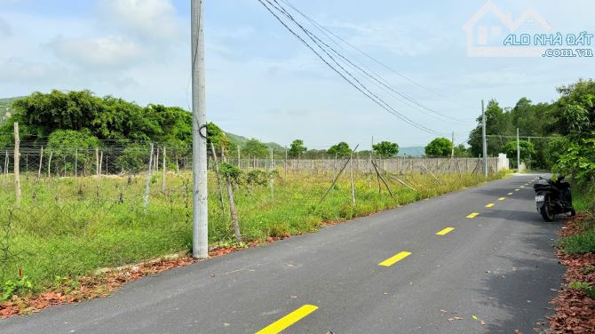 LÔ ĐẤT ĐẸP NHƯ TRANH TẠI PHƯỚC HẢI, LONG ĐẤT, BÀ RỊA - VŨNG TÀU - 1