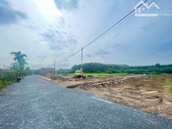 Lúa Non Cho Nhà Đầu Tư Hoặc An Cư với 12 lô tại phường Tân Triều,  cù lao sông Đồng Nai - 12
