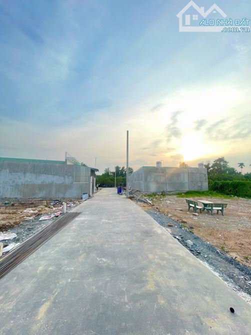 Lúa Non Cho Nhà Đầu Tư Hoặc An Cư với 12 lô tại phường Tân Triều,  cù lao sông Đồng Nai - 14