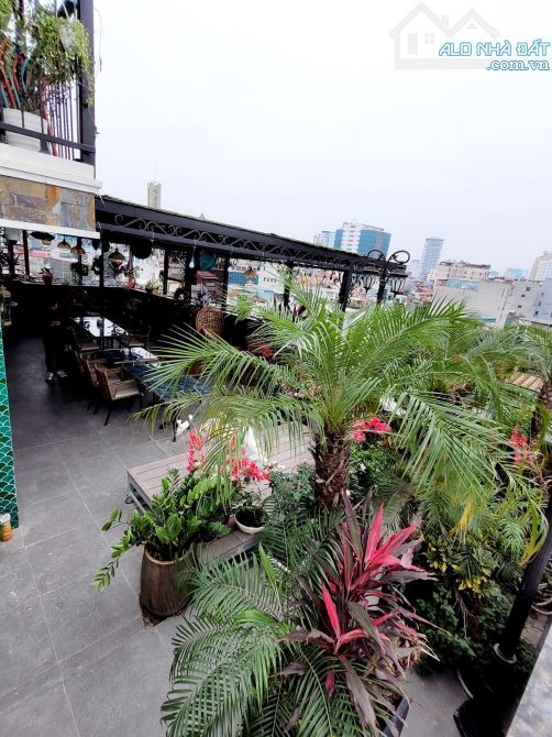 BÁN KHÁCH SẠN GIANG VĂN MINH 290m2 - 9T THANG MÁY - MT 16m - 320 TỶ - DÒNG TIỀN KHỦNG - 19