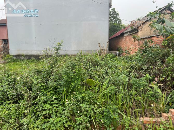 🏡 Chính chủ cần bán mảnh đất thổ cư tại Thôn Phú Hạ, xã Kim Anh , Sóc Sơn – Hà Nội - 1