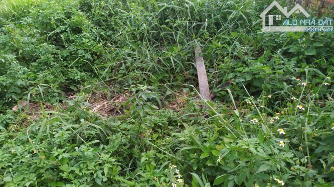 Giá 20 tỷ.Cần bán lô đất Mặt tiền đường Huỳnh Văn Nghệ P. Bửu Long Cực đẹp. 38x44m 1600m2. - 2