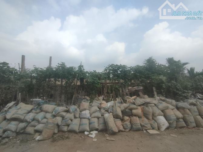 THƯỢNG THANH LONG BIÊN- ĐẤT NÔNG NGHIỆP -DT:620 MÉT-GIÁ 2TỶ800 - 2